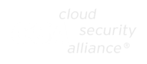 csa-logo-white-dc1e91cc219a595295b0508f00cb9962-copy-300x131