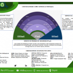 CyberSaaS Es un servicio flexible que se adapta a cualquier infraestructura, problemática, presupuesto y necesidad. De modo que, permite a una empresa seleccionar y combinar los servicios de ciberseguridad de forma personalizada y eficiente.